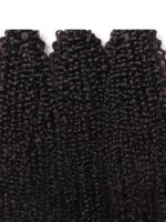 Lumivive Hair Icenu Series 100% Virgin Human Hair Kinky Curly Hair 3 Bundles - Image 3
