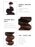 Lumivive Chestnut Brown Ombre 3 Pcs Body Wave Human Hair Bundles - Image 9