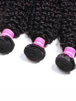 Lumivive Hair Icenu Series 100% Virgin Human Hair Kinky Curly Hair 3 Bundles - Image 4
