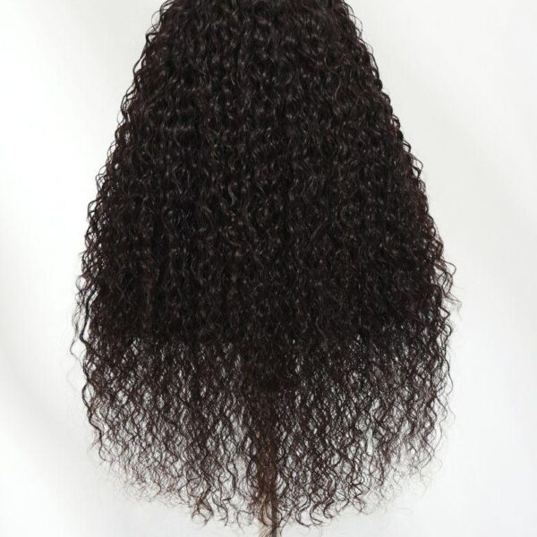 Lumivive 13x4 HD Lace Frontal Raw Human Hair Water Wave 200% Density Wig