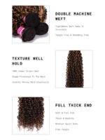 Lumivive Hair Bundle 1 Piece Curly Hair With Blonde Highlight - Image 6