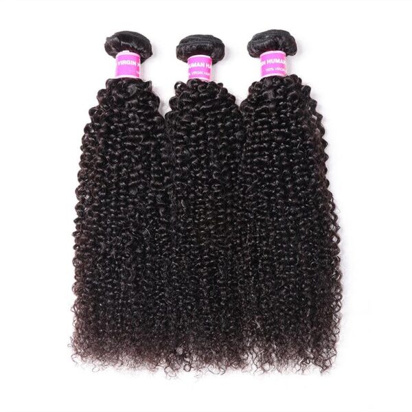 Lumivive Hair Icenu Series 100% Virgin Human Hair Kinky Curly Hair 3 Bundles