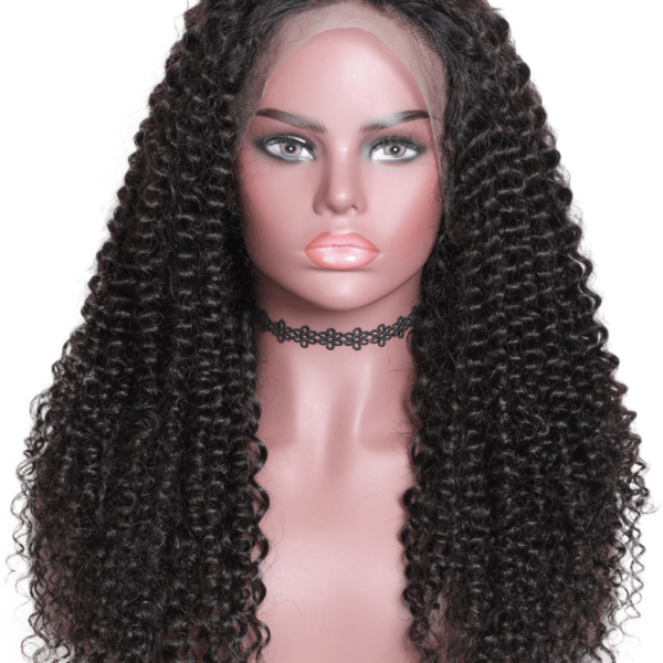 Lumivive Premium Raw Virgin Hair Transparent HD Full Lace Curly Wig