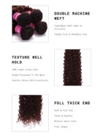 Lumivive TL412# Honey Blonde Color 3 Pcs Real Human Hair Weaves - Image 8