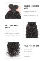 Lumivive 4 Bundles Water Wave Indian Human Hair Weaves - Image 9